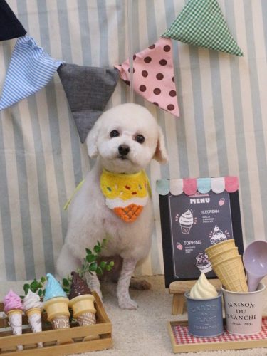 20250531ふぁるくん